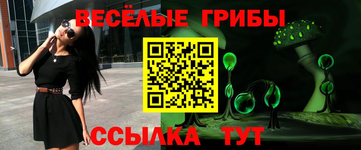 Галлюциногенные грибы GOLDEN TEACHER Михайловка